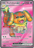 Dachsbun ex 160/142  - Holofoil